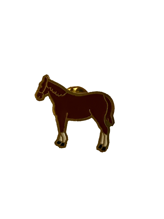 Pin Kasztanka- przód 2